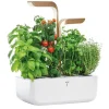 Véritable Jardin D’herbes Aromatiques – Appareils De Cuisine Divers Livraison Standard/Rapide 13