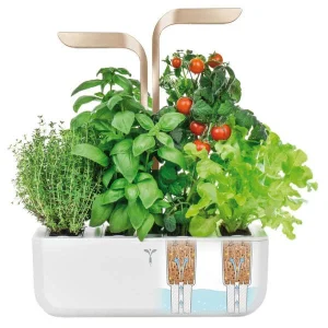 Véritable Jardin D’herbes Aromatiques – Appareils De Cuisine Divers Livraison Standard/Rapide 7