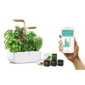 Véritable Jardin D’herbes Aromatiques – Appareils De Cuisine Divers Livraison Standard/Rapide 9