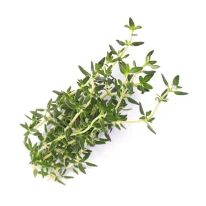 Véritable Herbes Aromatiques – Appareils De Cuisine Divers Service Clients Dédié 6